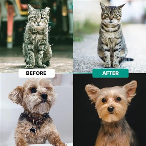 Dog Brush for Shedding-Double Sided Undercoat Rake for Dogs& Cats-Dematting Comb - Picture 4 of 7